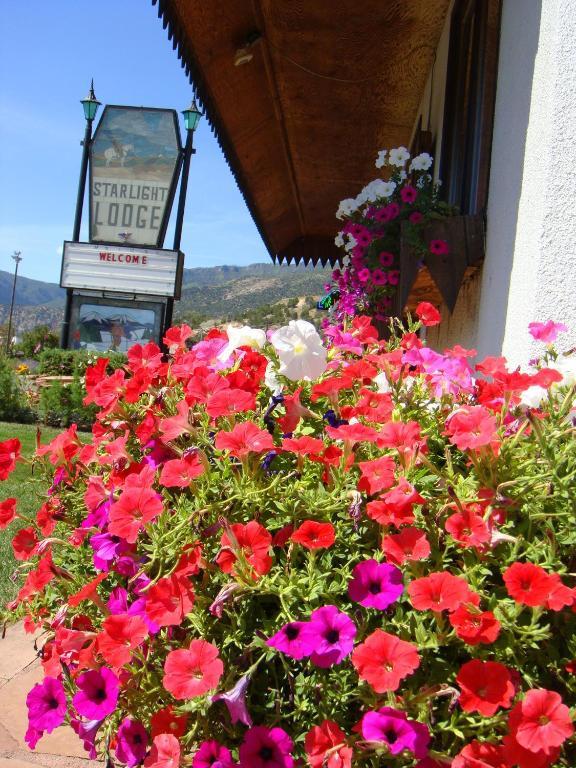 Starlight Lodge Glenwood Springs Kültér fotó